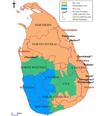 Map of Sri Lanka.jpg (105 KB)